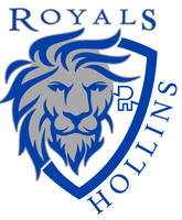 Hollins